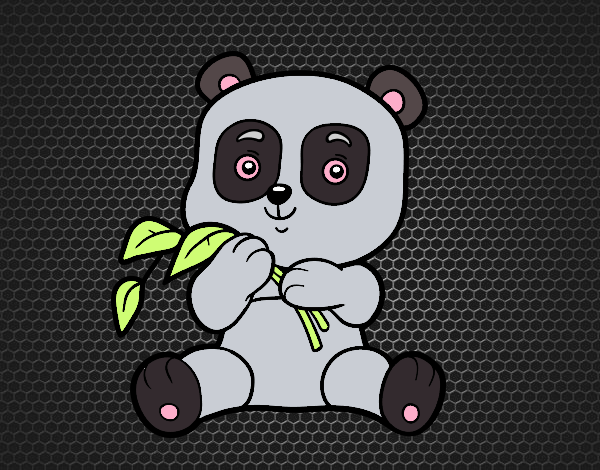 OSO (PANDA)BEBE