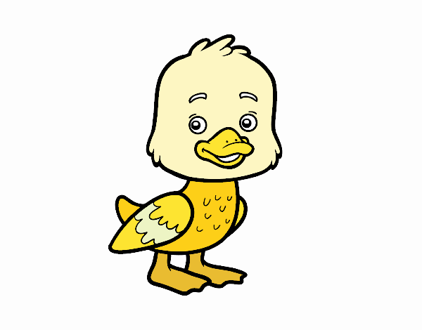 Un patito