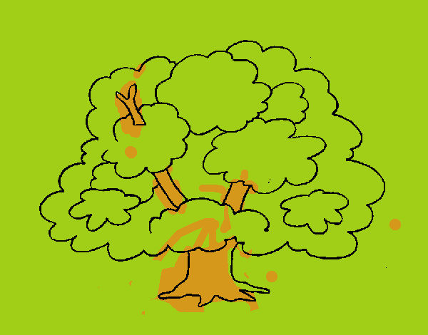 Árbol