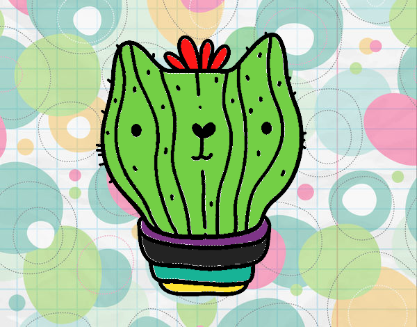 Cactus gato