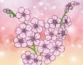 Dibujo Flor de cerezo pintado por gatitaYT