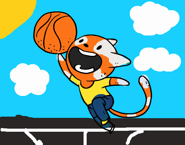 Gato jugando a baloncesto