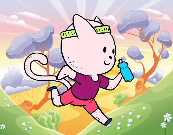 Gato runner