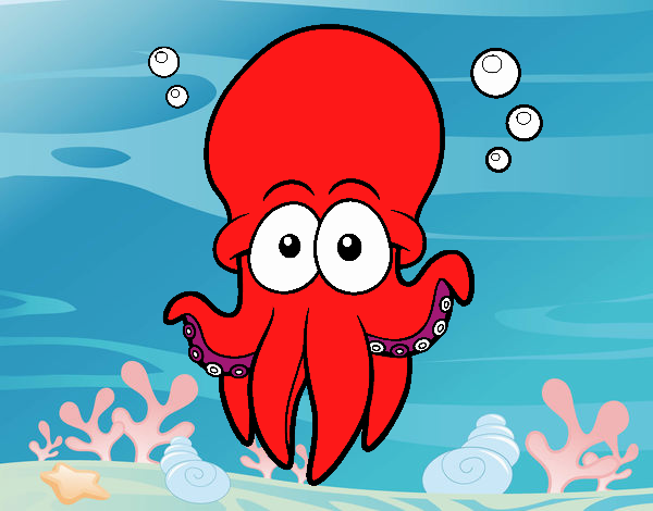 Pulpo rojo