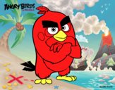 Red de Angry Birds