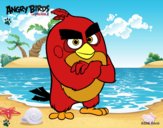 Red de Angry Birds