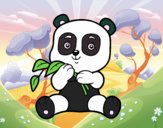 Un oso panda