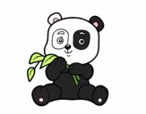 Un oso panda