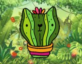 Cactus gato