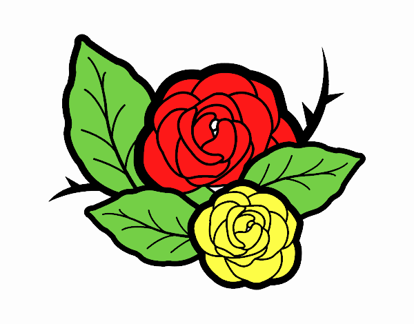 Dos rosas