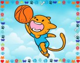 Gato jugando a baloncesto