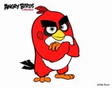 Red de Angry Birds