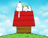 Snoopy durmiendo