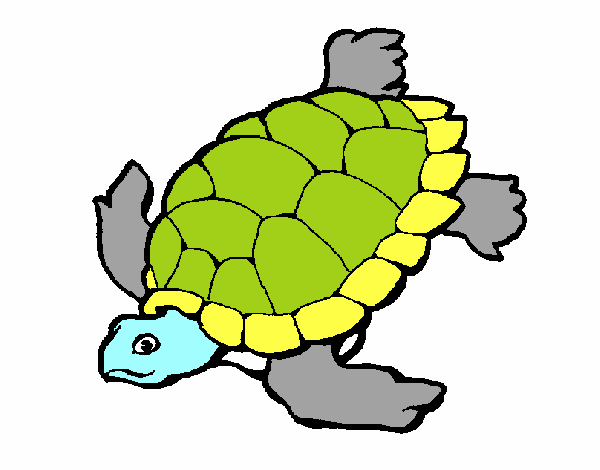 Tortuga