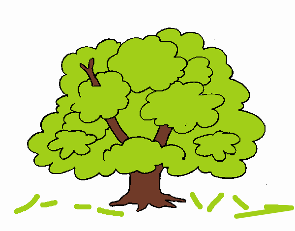 Árbol