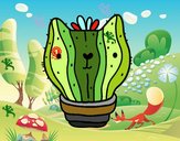 Cactus gato