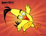 Chuck de Angry Birds