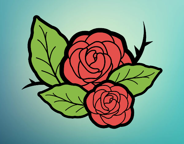 Dos rosas