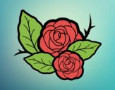 Dos rosas