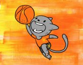 Gato jugando a baloncesto