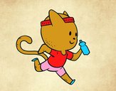 Gato runner