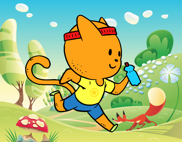 Gato runner