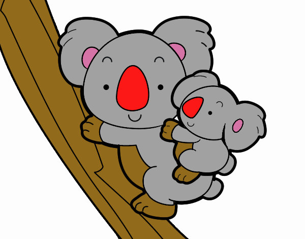 Madre koala