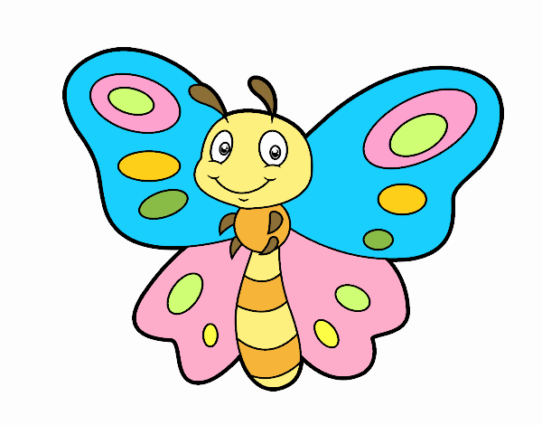 mariposa