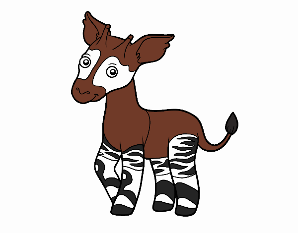 Okapi