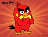 Red de Angry Birds