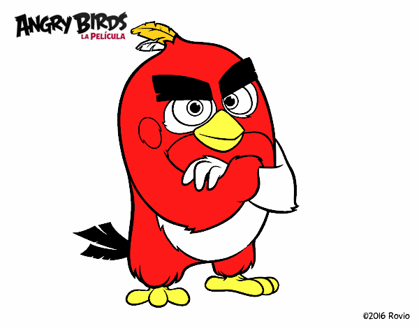 Red de Angry Birds