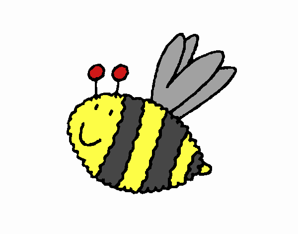 Abeja 4