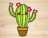 Cactus corazón