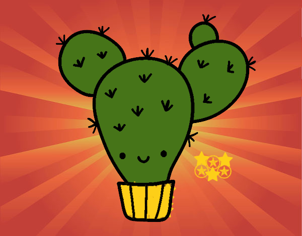 Cactus nopal