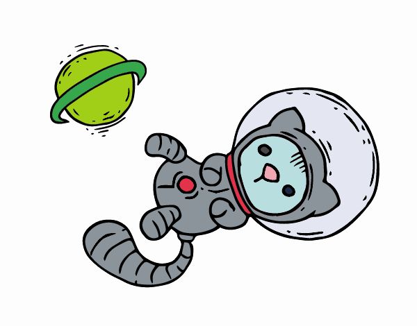 Gatito astronauta