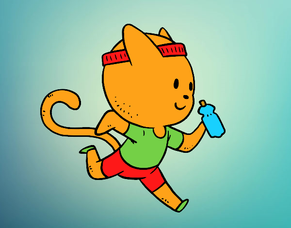 Gato runner