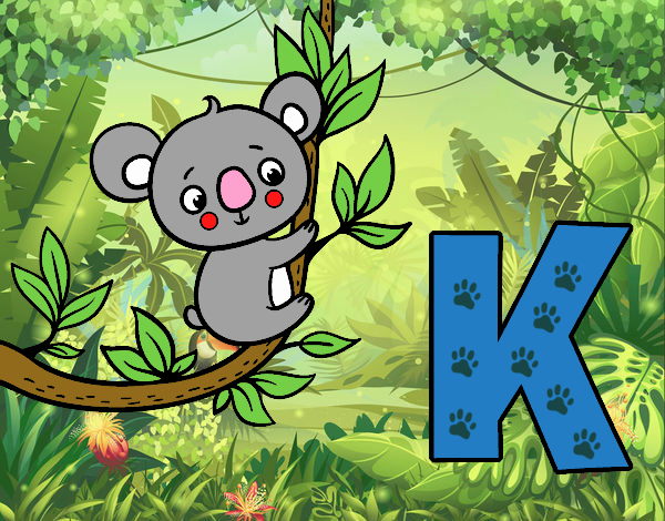 K de Koala