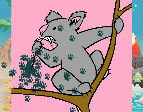 Dibujo Koala pintado por JAVI77