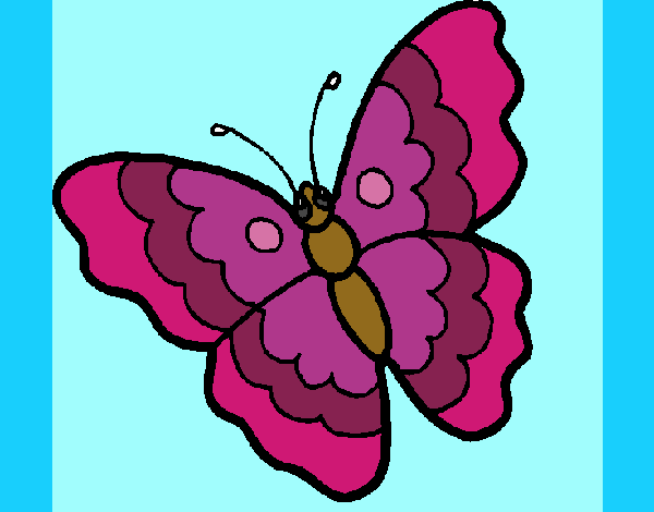 Mariposa 13