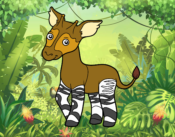 Okapi