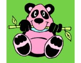 Oso panda