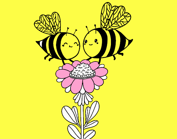 Pareja de abejas