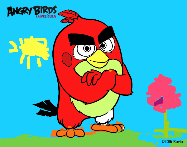 Red de Angry Birds