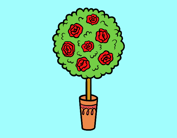 arbol de rositas