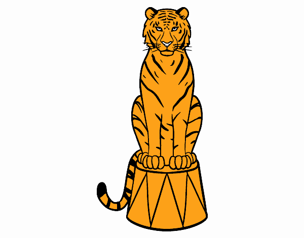 Tigre de circo