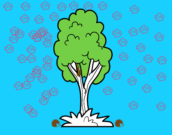 Un árbol de parque