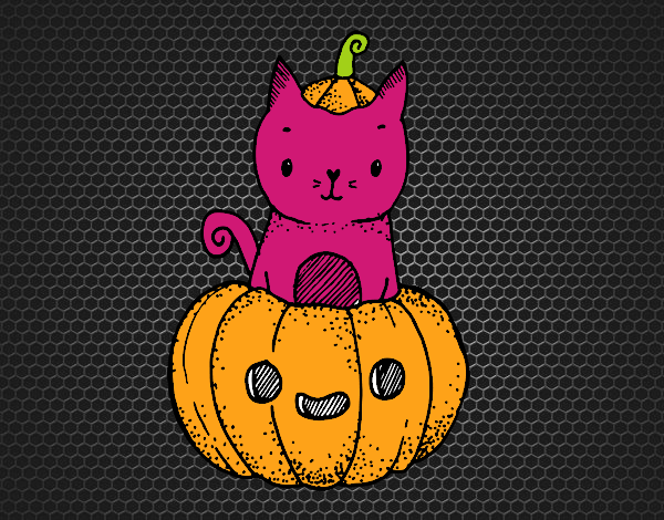 Un gatito de Halloween