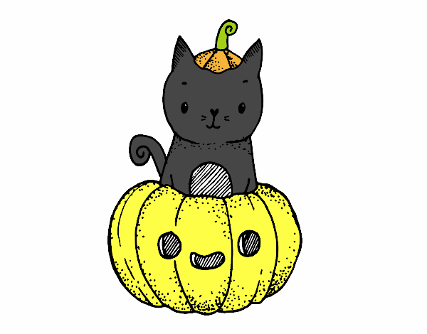 Un gatito de Halloween