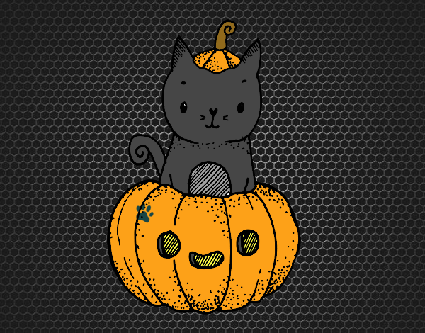 cat and pumking