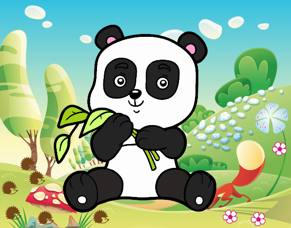 Un oso panda